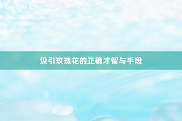 汲引玫瑰花的正确才智与手段