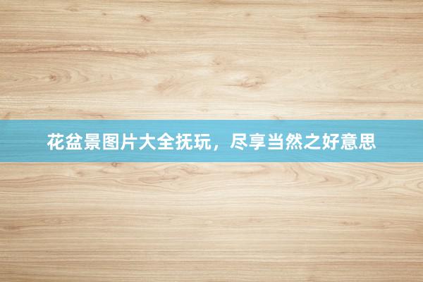 花盆景图片大全抚玩，尽享当然之好意思