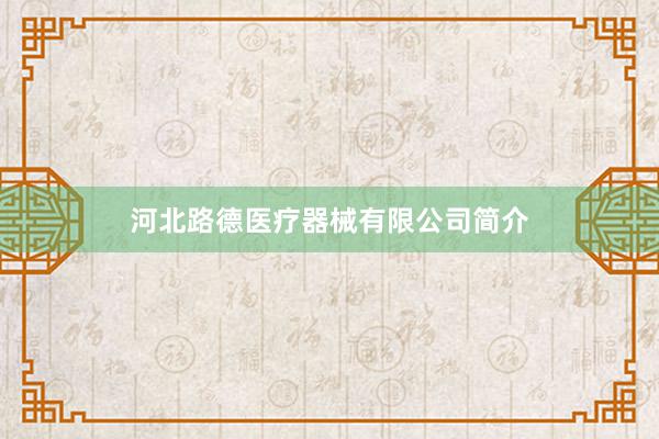 河北路德医疗器械有限公司简介
