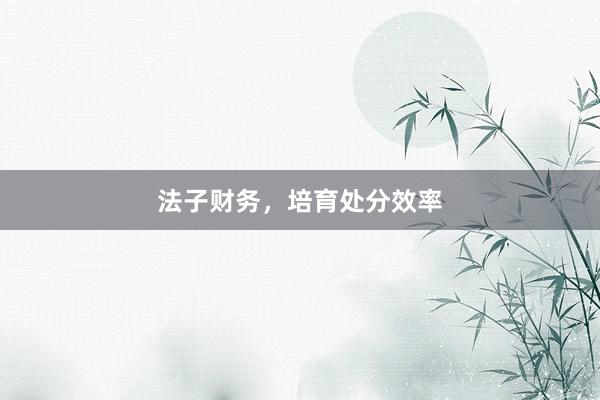法子财务，培育处分效率